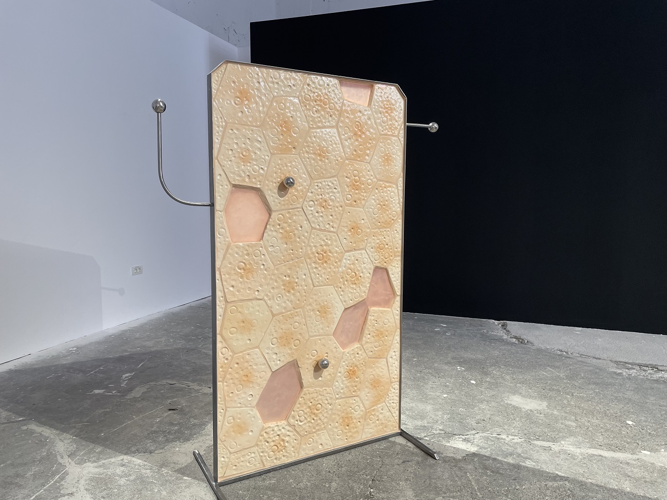 lorena cocioni apparatus, bienala art encounters 2025, curatorial