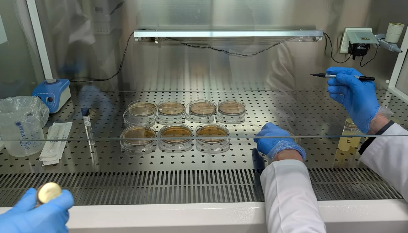 marginal otherwise residency microbiologie 1