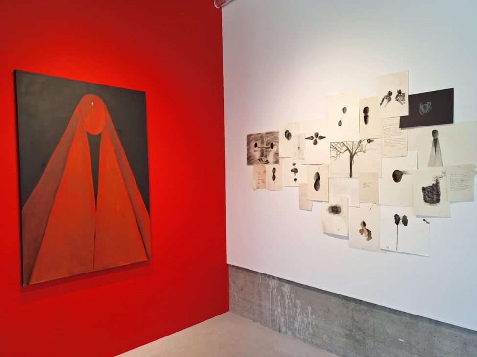 on the edge of magic, ileana moro, galeria himera, curatorial