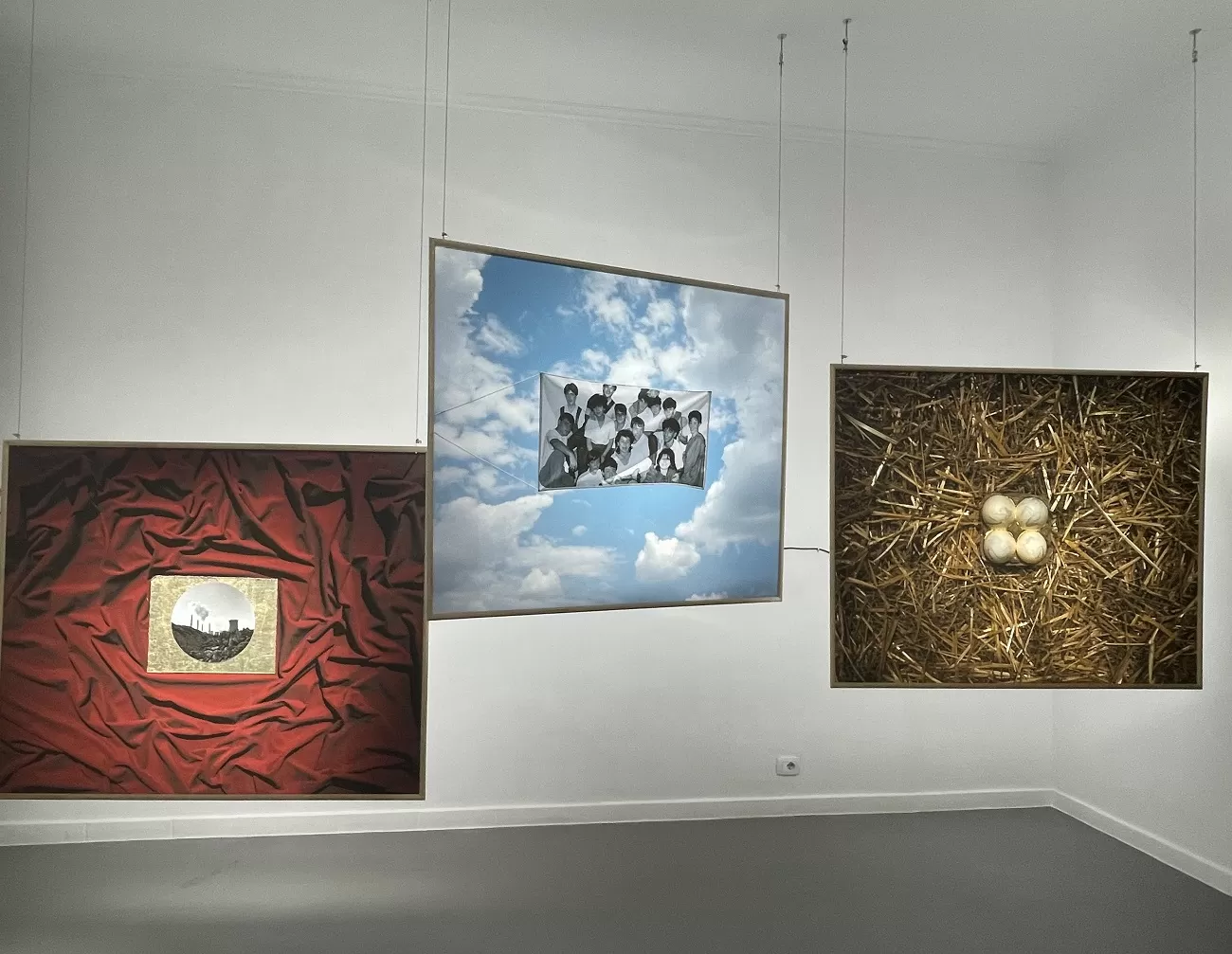 paul ilfoveanu, curatorial