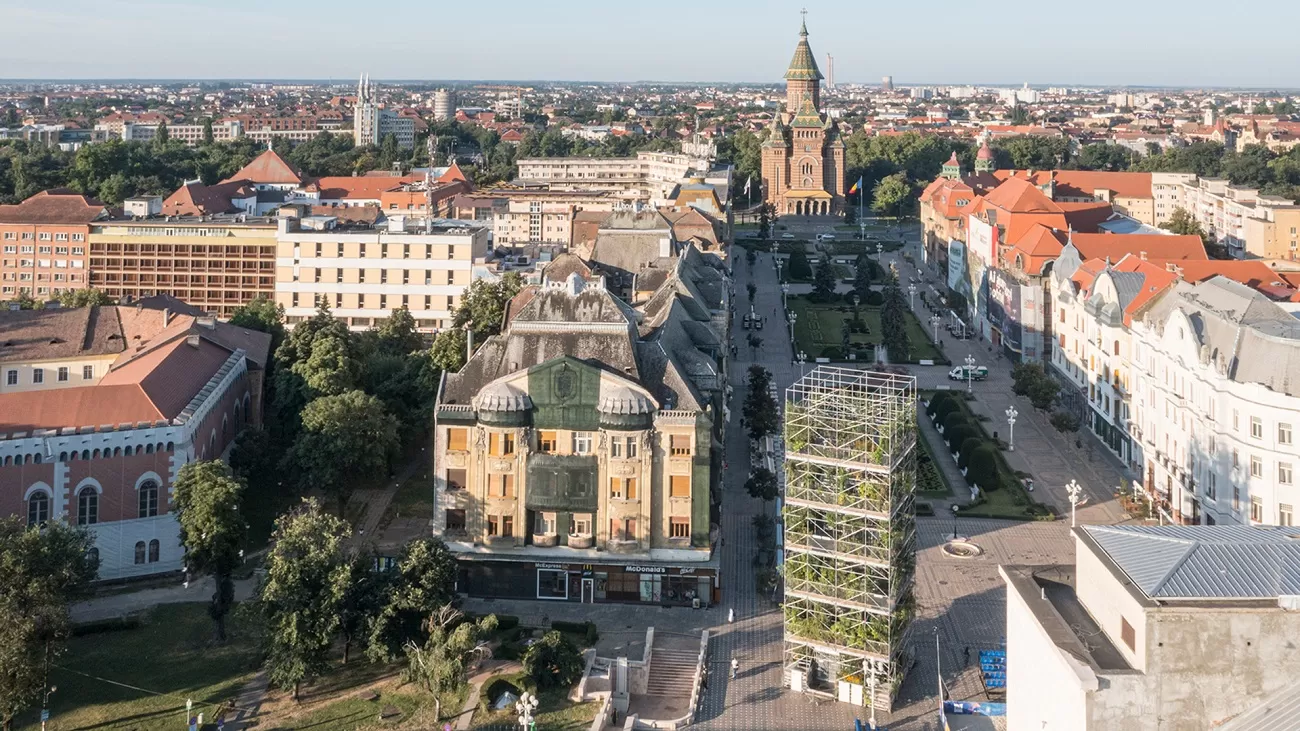 pepiniera timisoara ©laurian ghinițoiu