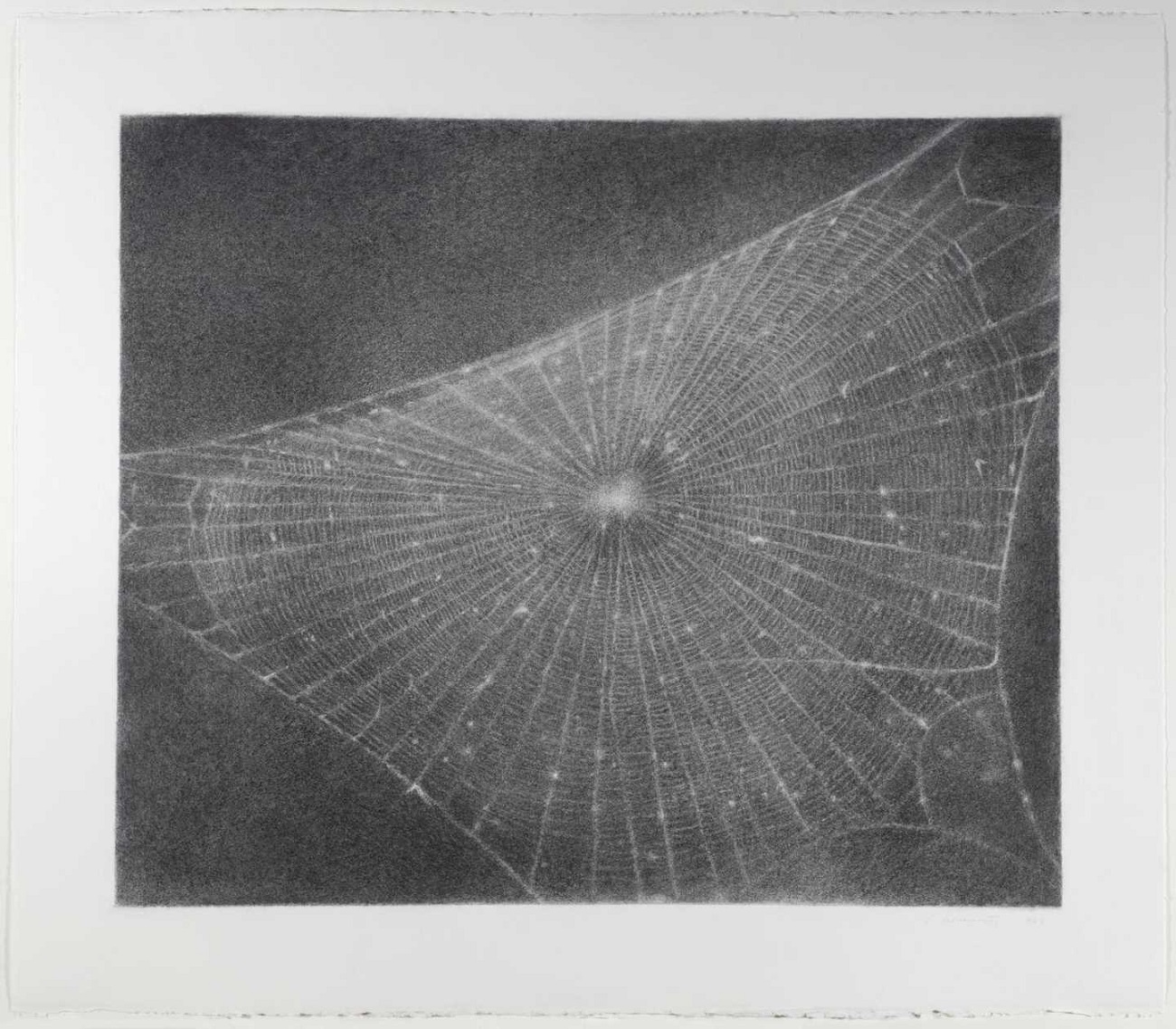 web #1 1999 by vija celmins born 1938