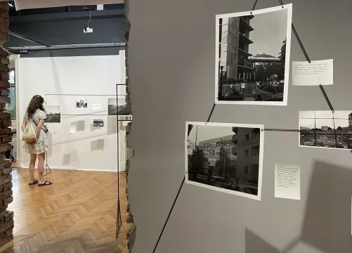 vlad dragne, cronica prăbușirii anunțate, galeria posibila, curatorial 1