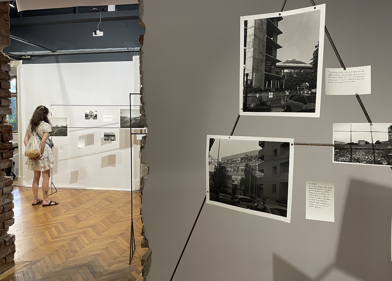 vlad dragne, cronica prăbușirii anunțate, galeria posibila, curatorial 1