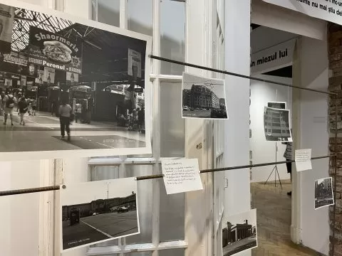 vlad dragne, cronica prăbușirii anunțate, galeria posibila, curatorial