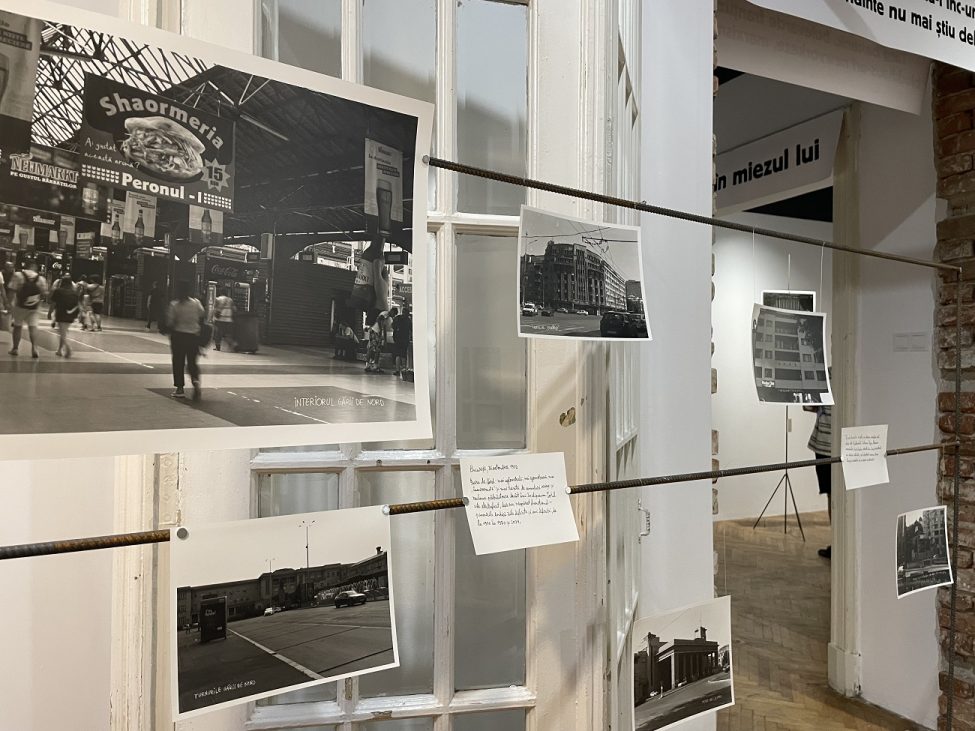 vlad dragne, cronica prăbușirii anunțate, galeria posibila, curatorial