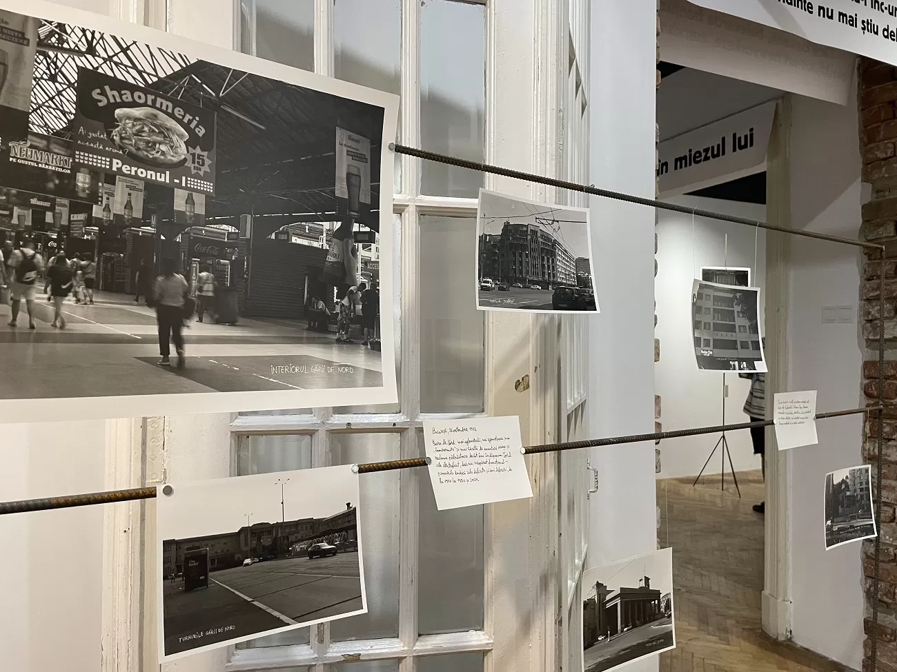 vlad dragne, cronica prăbușirii anunțate, galeria posibila, curatorial