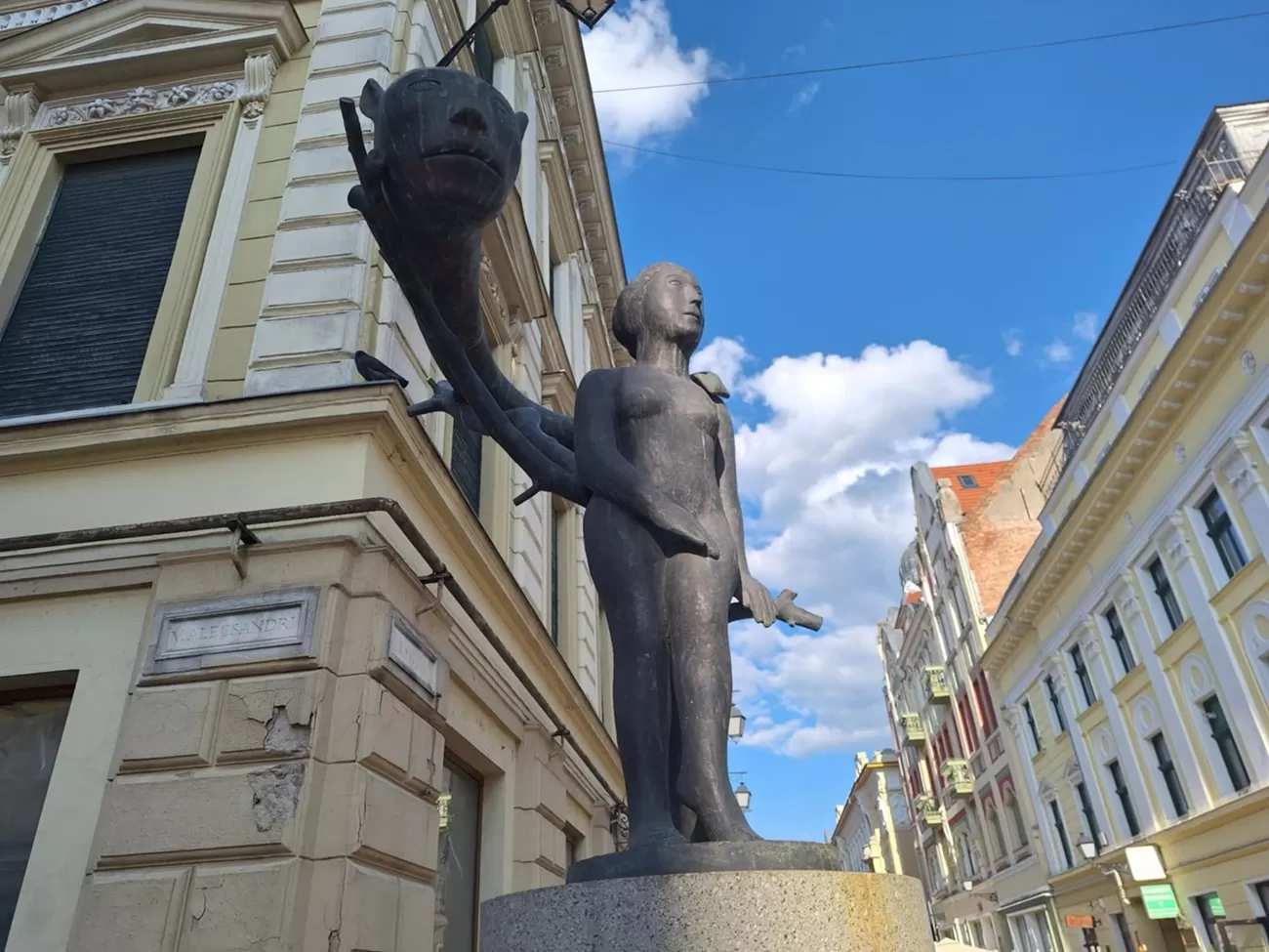 eva, virgil scripcariu, curatorial