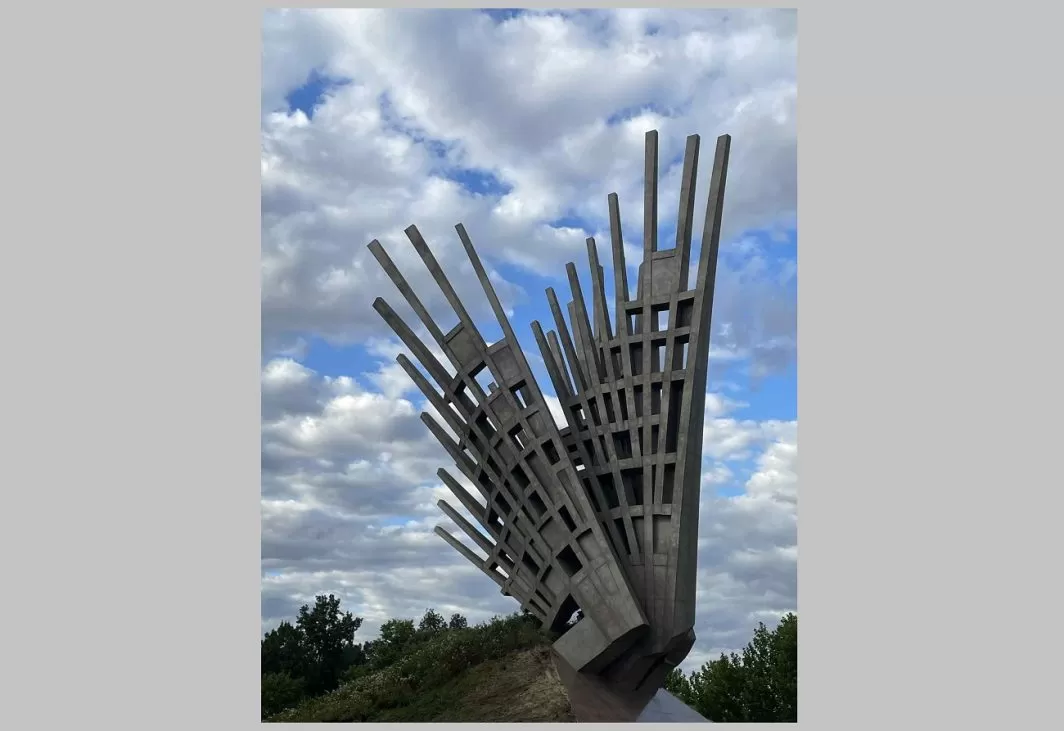 aripi, de mihai buculei, curatorial