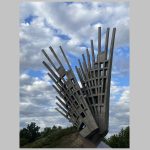 aripi, de mihai buculei, curatorial
