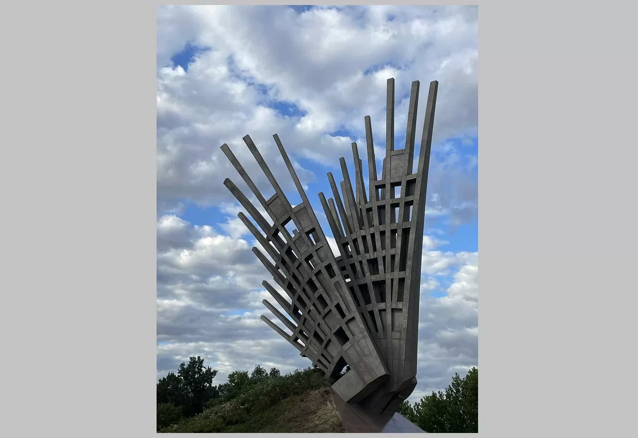aripi, de mihai buculei, curatorial