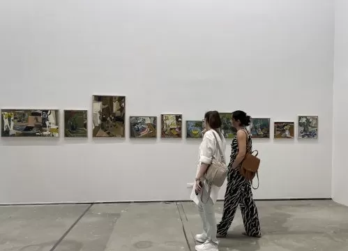 geometria moale a culorii, yvonne hassa alma redlinger, curatorial