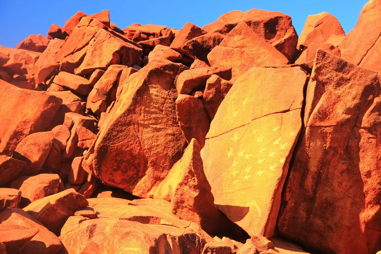 aboriginal,rock,carving,,australia