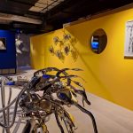 splashhh, curatorial