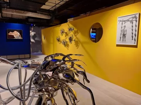 splashhh, curatorial