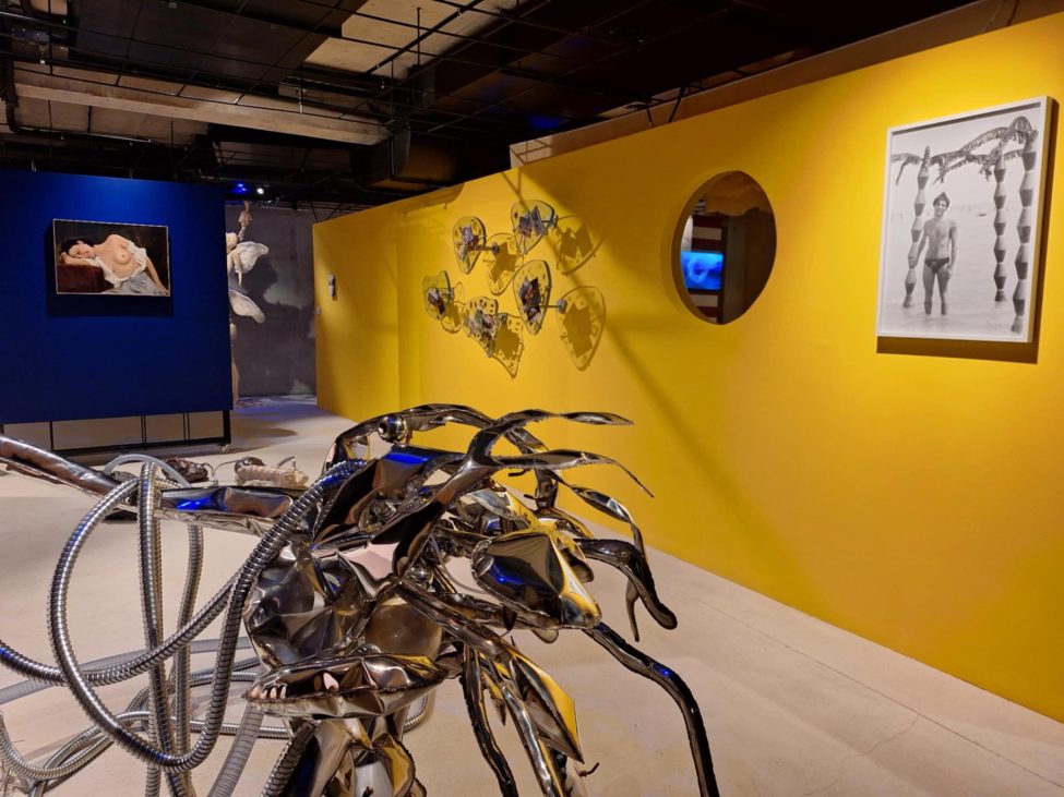 splashhh, curatorial