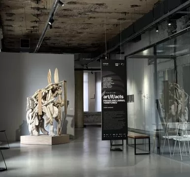 art if acts, meron