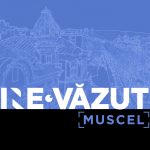 ne re vazut muscel