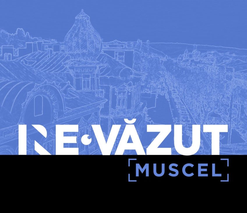 ne re vazut muscel
