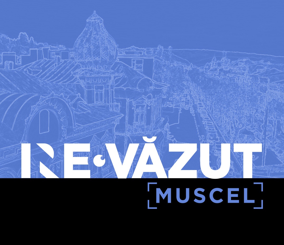ne re vazut muscel
