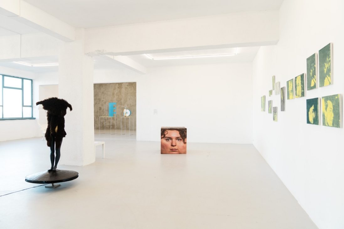 new wave art prize, catinca tabacaru gallery