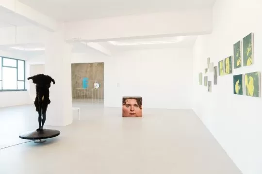 new wave art prize, catinca tabacaru gallery