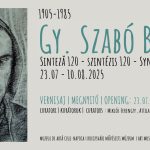 szabo bela, muzeul de arta cluj napoca