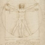 vitruvian man