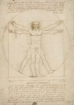 vitruvian man