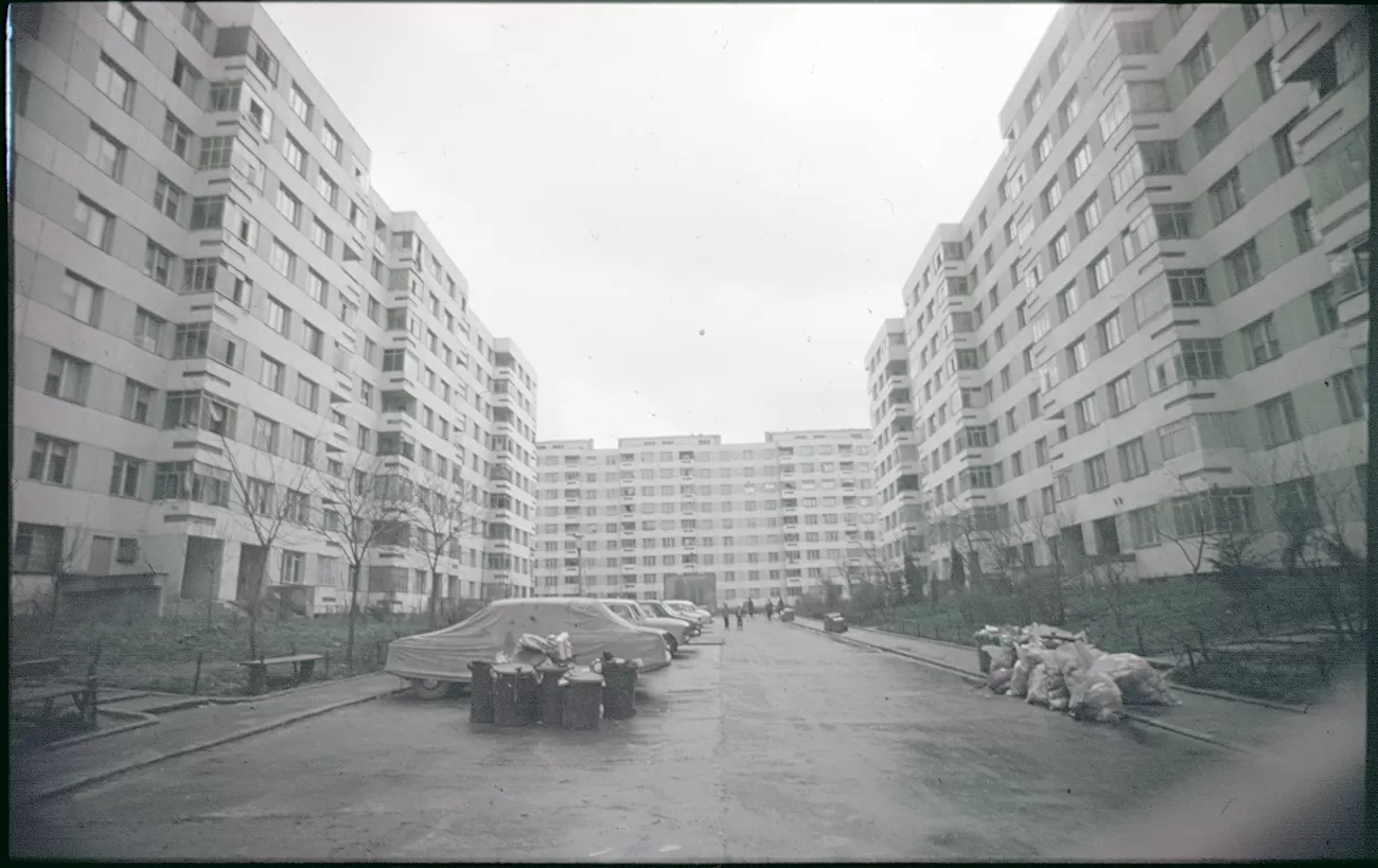 balta alba 1980 foto ion grigorescu