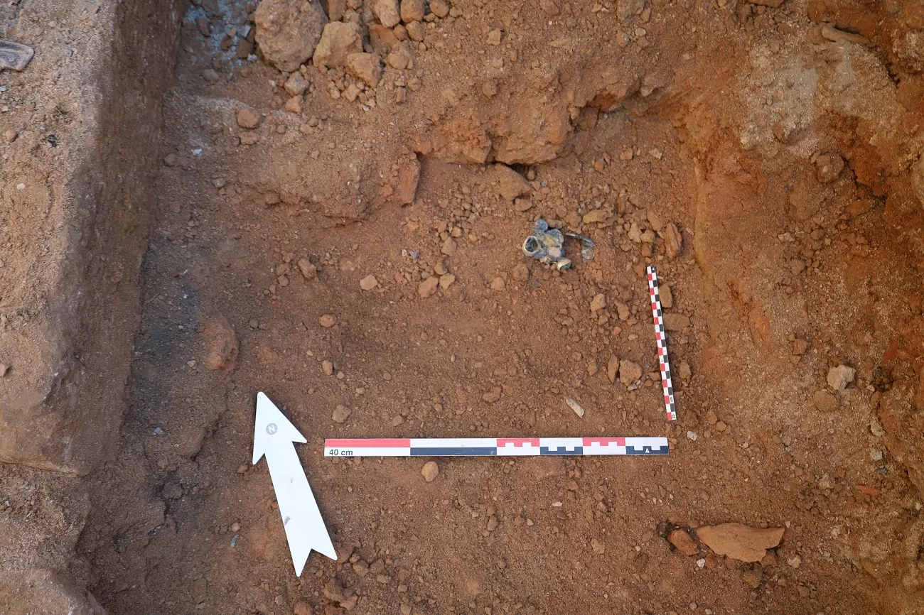histria 2025 detaliu tezaur in situ