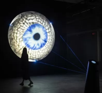 peppercorns interactive media art, radar 2025