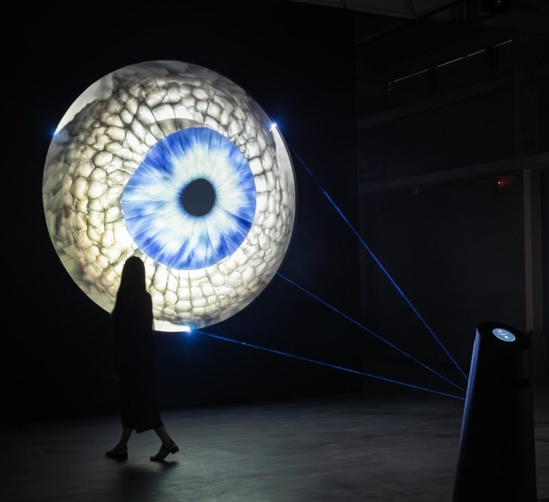 peppercorns interactive media art, radar 2025