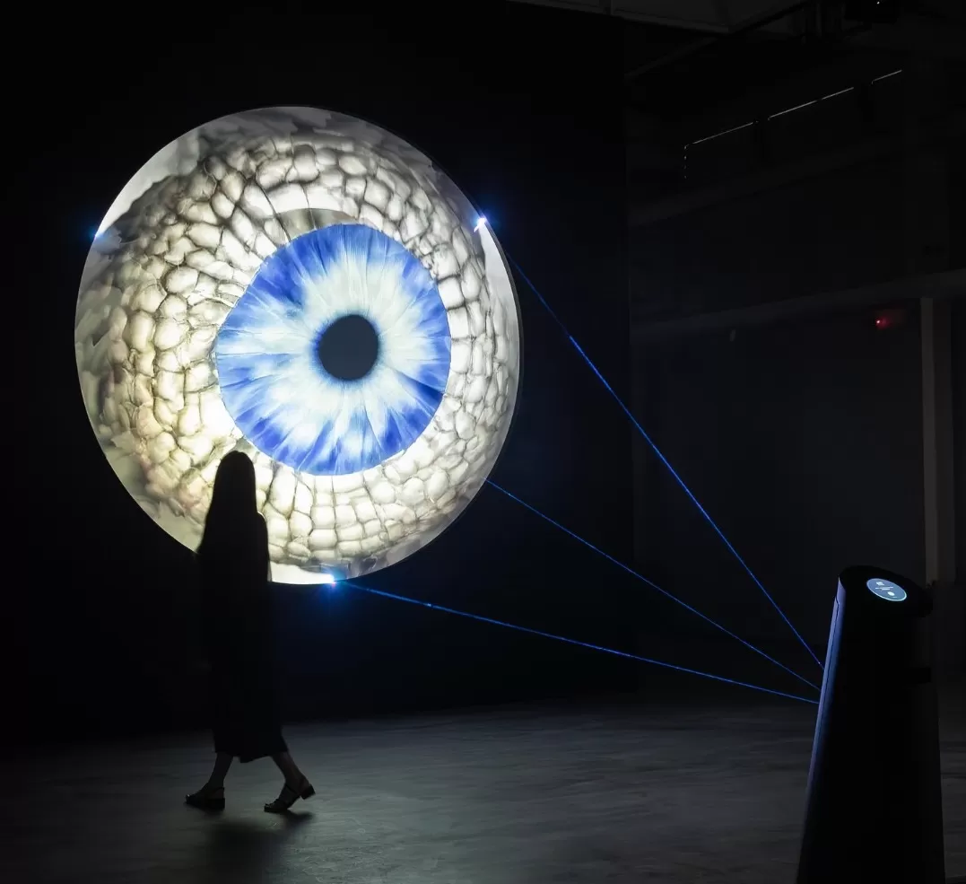 peppercorns interactive media art, radar 2025
