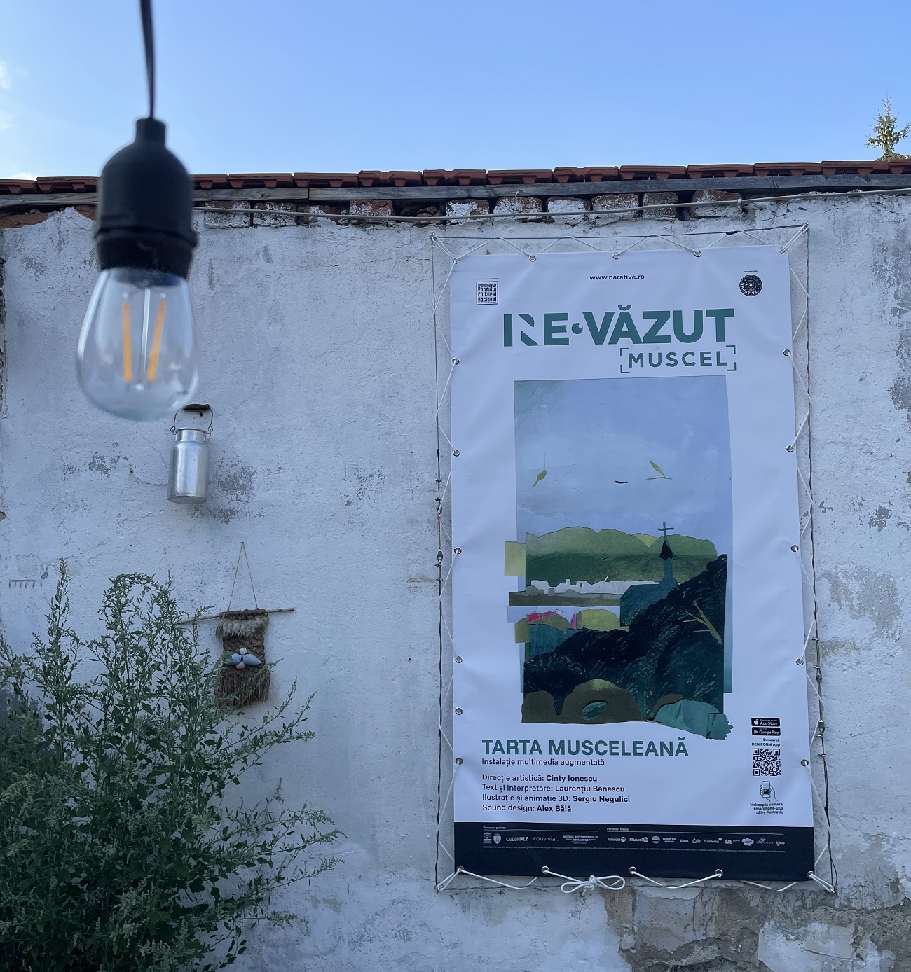 tarta musceleana, ne re vazut muscel