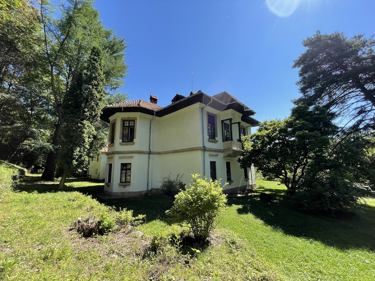 vila golescu, spate, curatorial