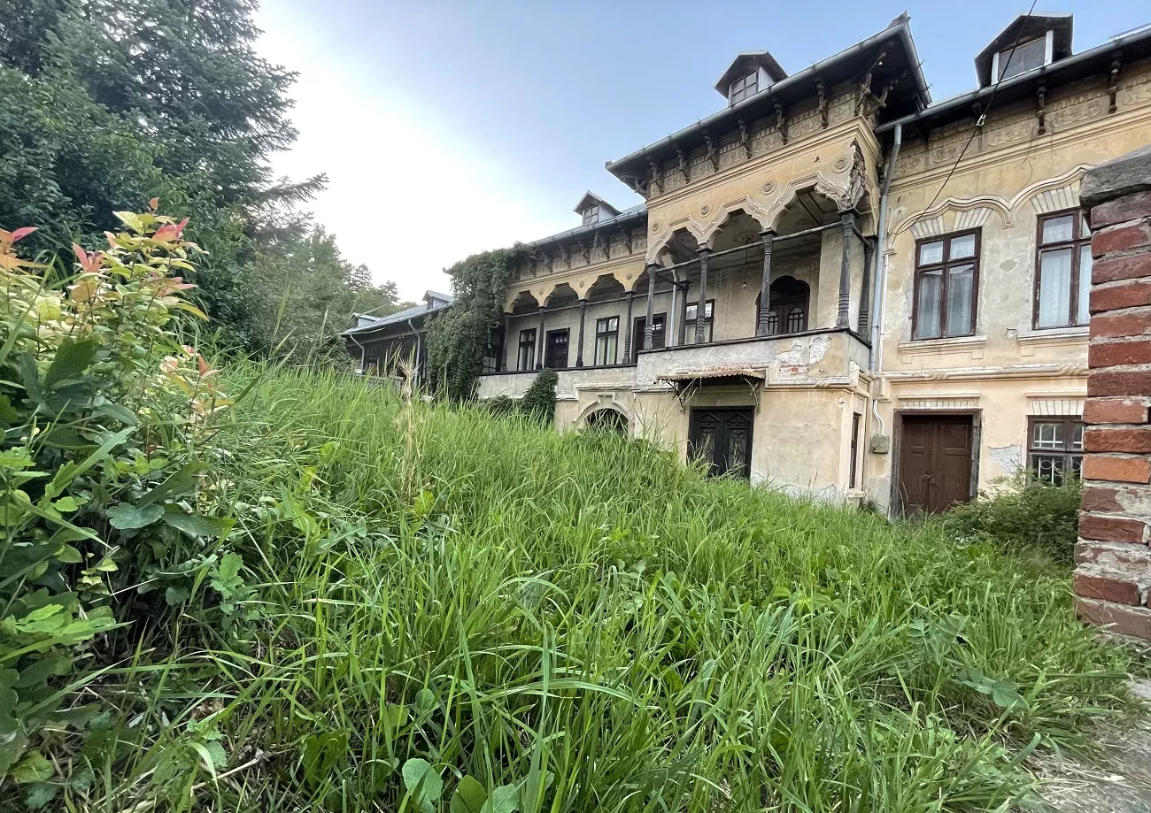 vila nae manolescu, 1898, câmpulung muscel, curatorial