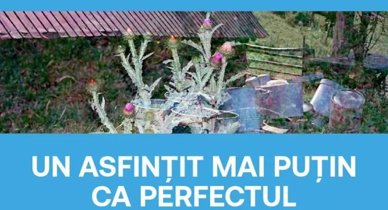 expozitie claudia retegan un asfintit mai mult ca perfectul amzei creative corner