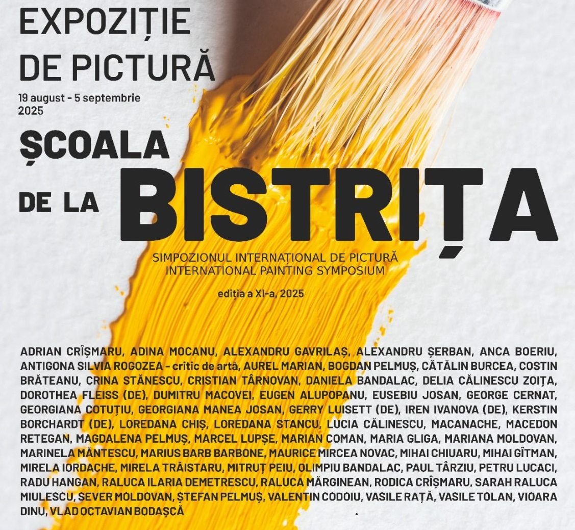 scoala de la bistrita 11