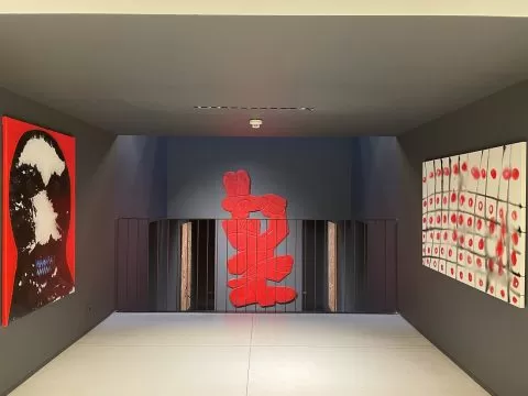 expoziție dumitru gorzo 3, mare, curatorial