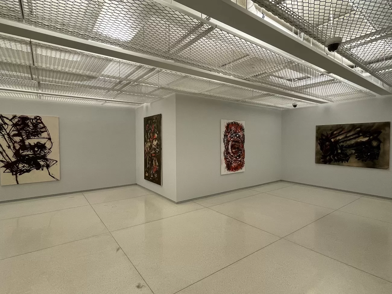 expoziție dumitru gorzo4, mare, curatorial