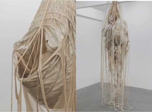 guadalupe vilar, la viscera