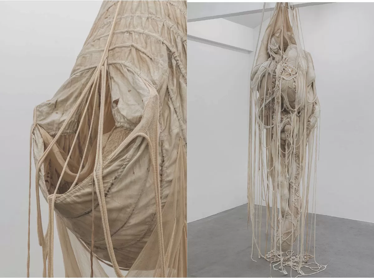 guadalupe vilar, la viscera