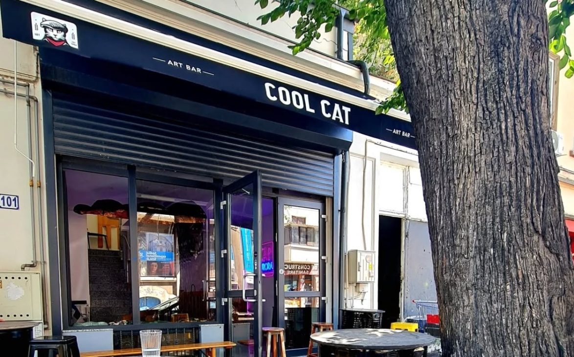 layer gallery, foto radu cool cat