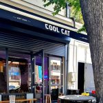 layer gallery, foto radu cool cat