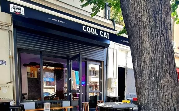 layer gallery, foto radu cool cat