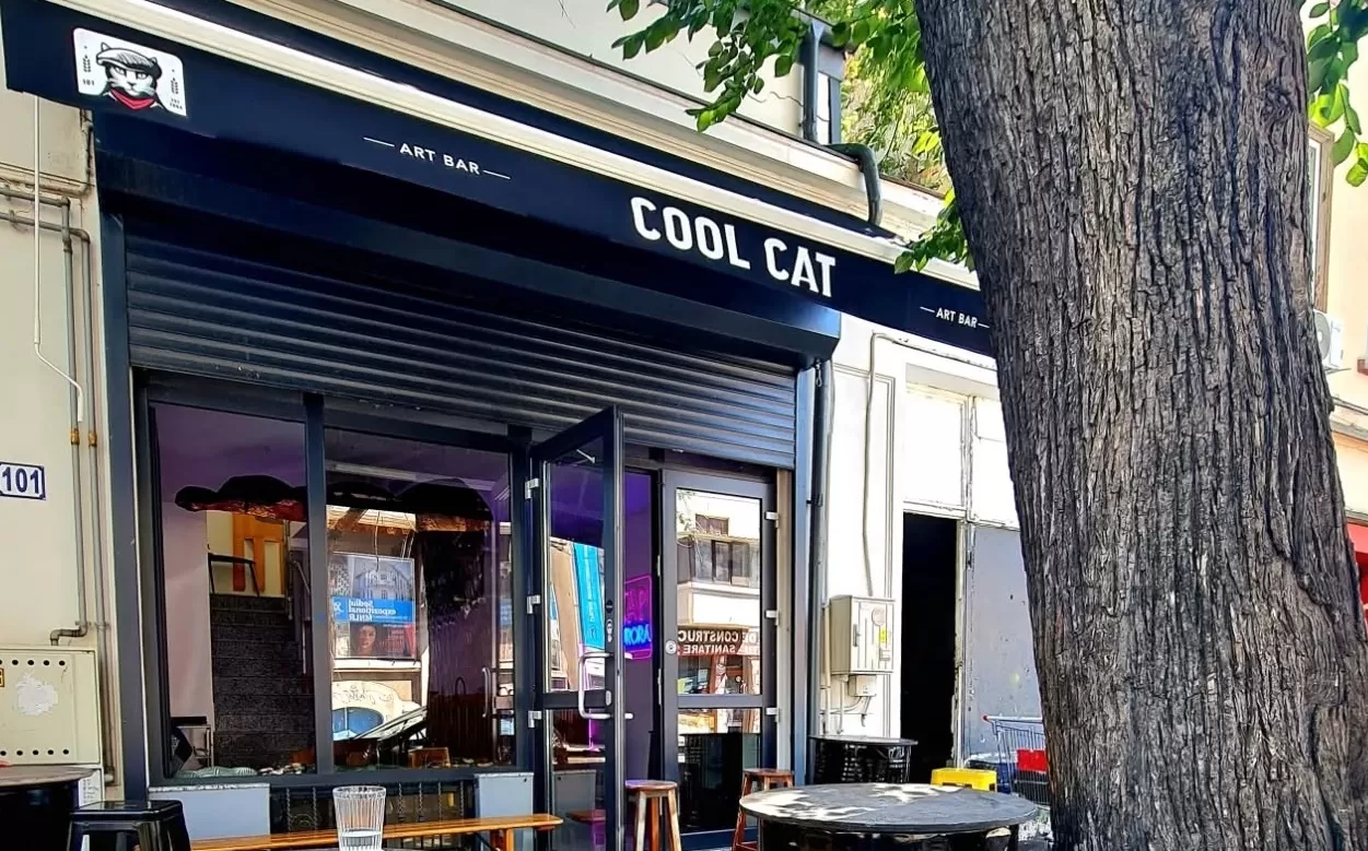 layer gallery, foto radu cool cat