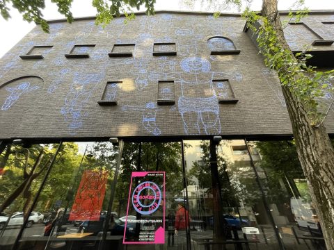 mare, dumitru gorzo, curatorial