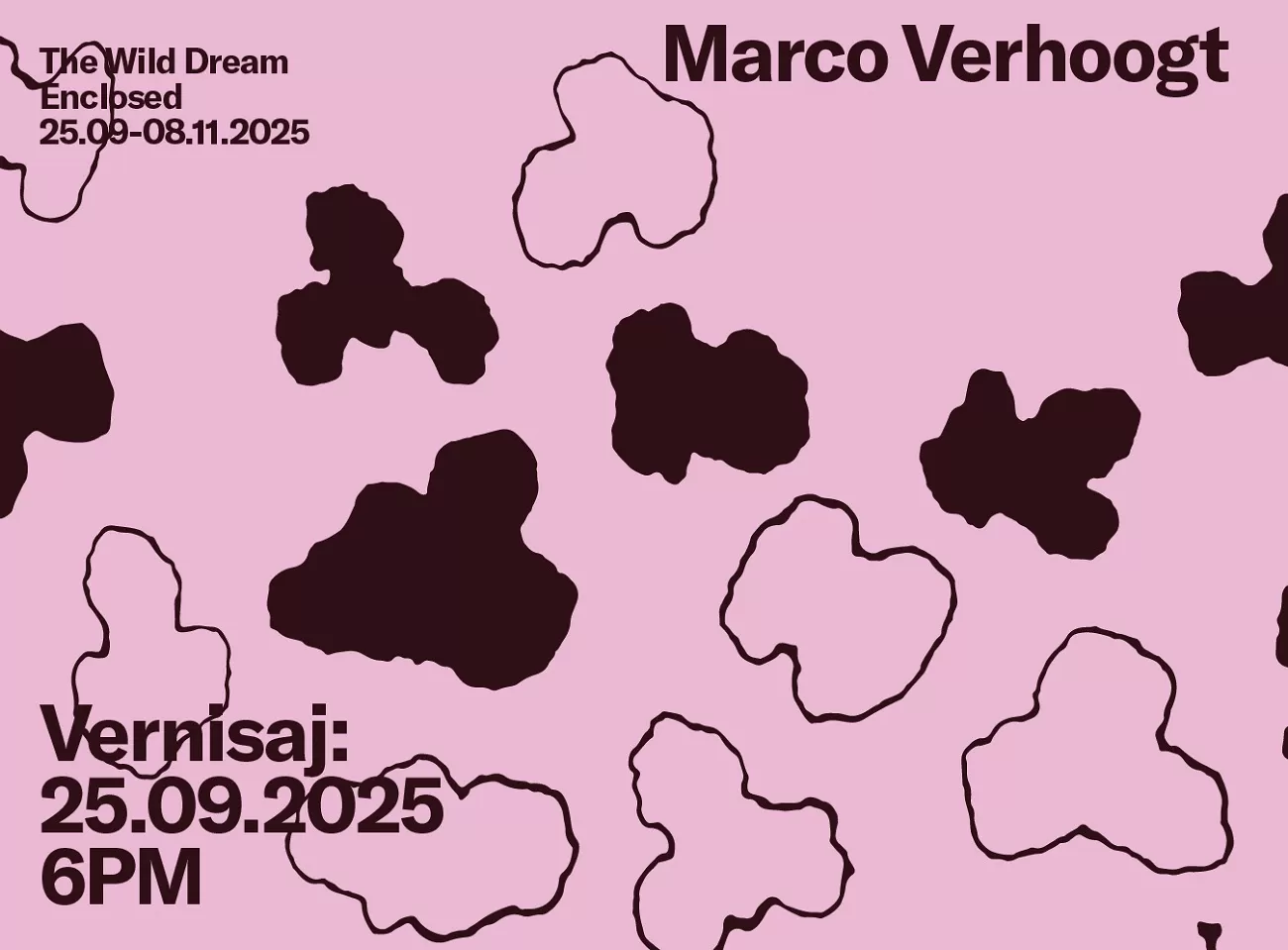 marco verhoogt , expozitie zina gallery