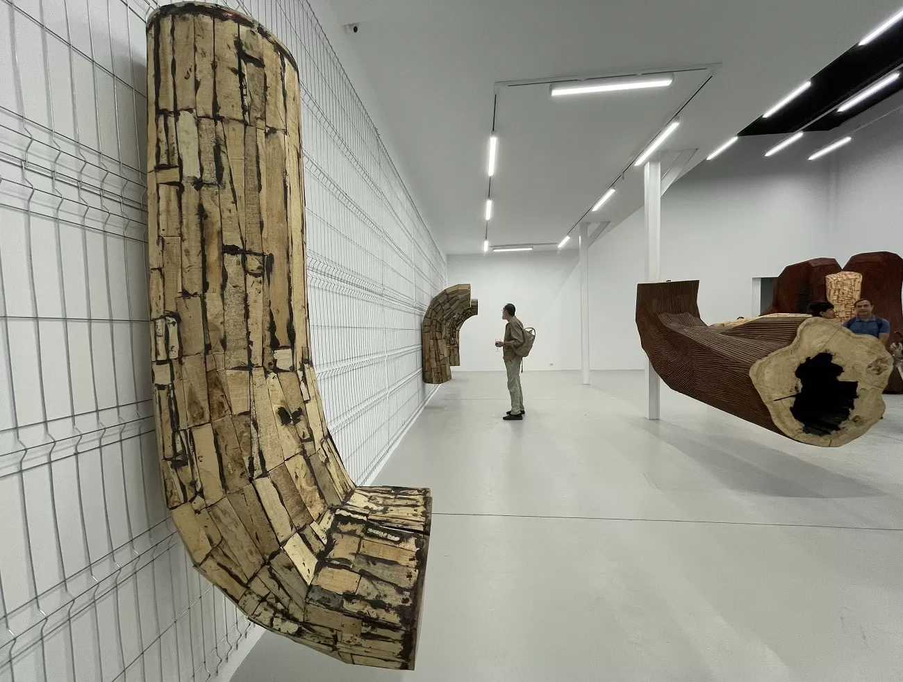 mircea roman, iomo, curatorial